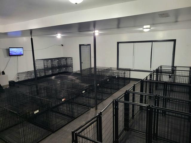 Kennel room at the Center