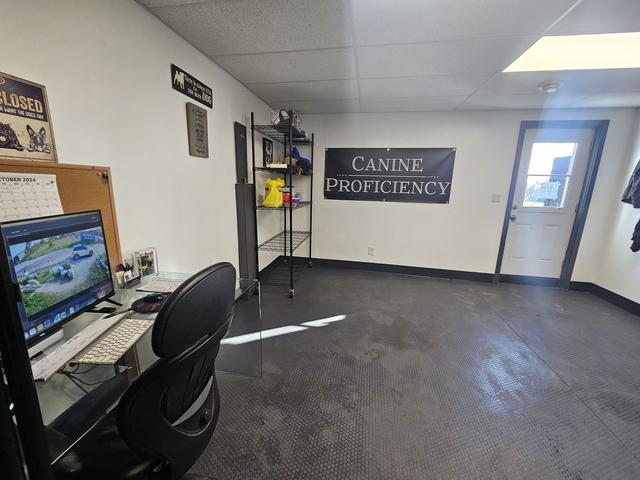 Dogs at Canine Proficiency Center