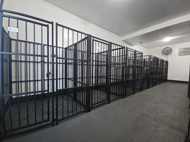 Dogs at Canine Proficiency Center